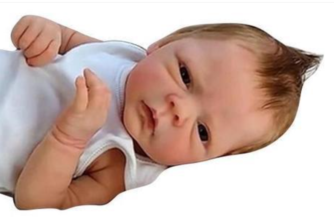 Muñecas Reborn 48 CM Full Body - Ethnic Fashion Model avaliação e preço
